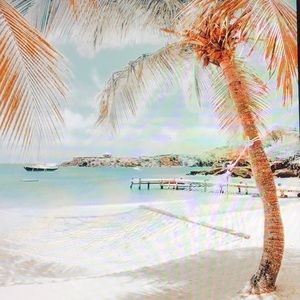 Meet your Posher, Caitlin